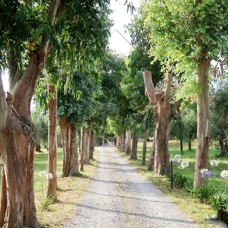 Locazione Turistica Agriturismo Ada Musso Oneglia